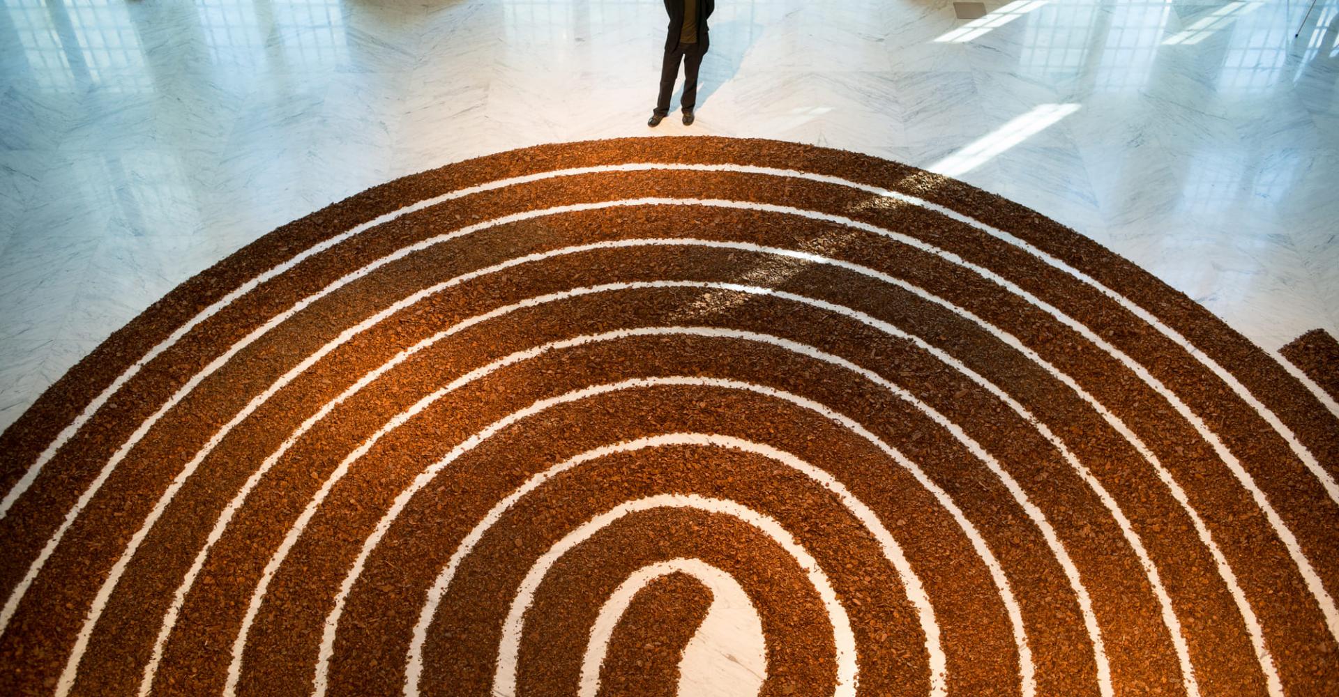 An aerial of mulch in a spiral formation on the floor